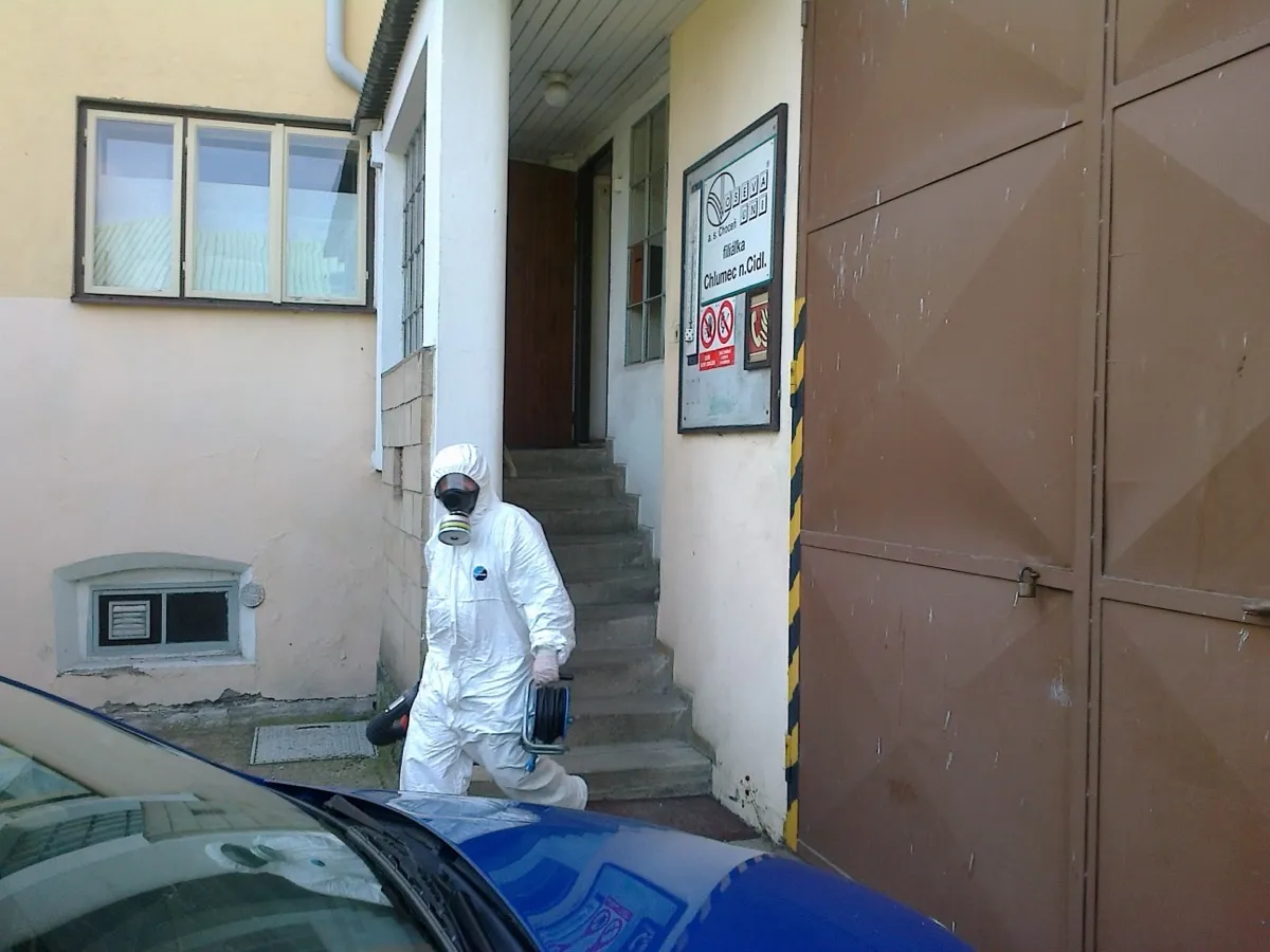 Profesionální deratizace a dezinsekce